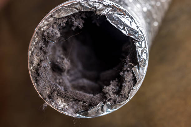 Best HVAC Duct Inspection Services  in New Sharon, IA